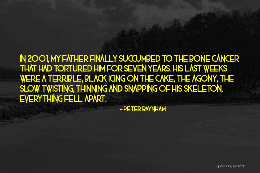 Terrible Father Quotes By Peter Baynham