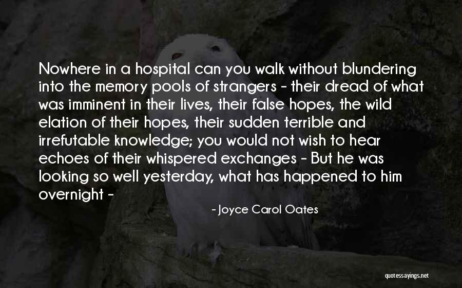 Terrible Memory Quotes By Joyce Carol Oates Terrible Memory Quotes By Joyce Carol Oates