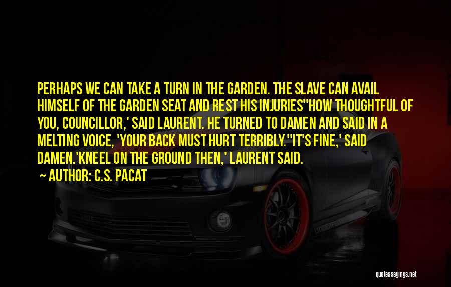 Terribly Hurt Quotes By C.S. Pacat