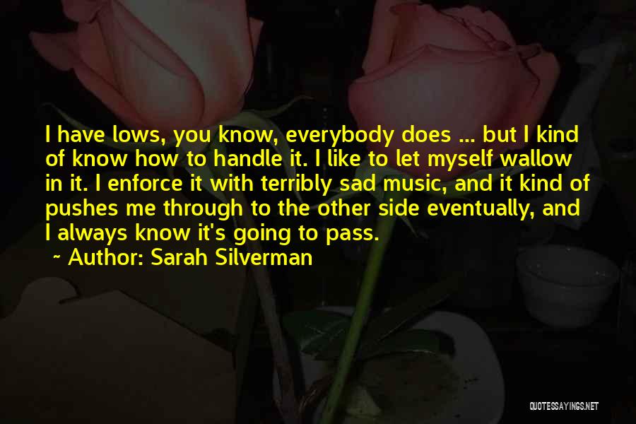 Terribly Sad Quotes By Sarah Silverman