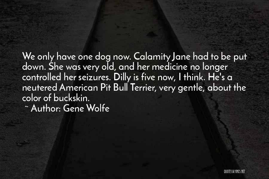 Terrier Dog Quotes By Gene Wolfe