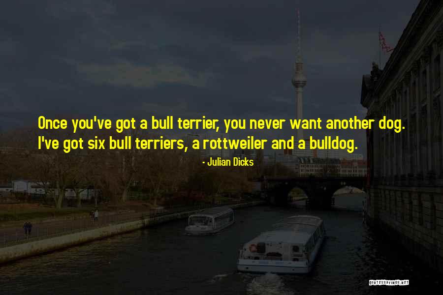 Terrier Dog Quotes By Julian Dicks