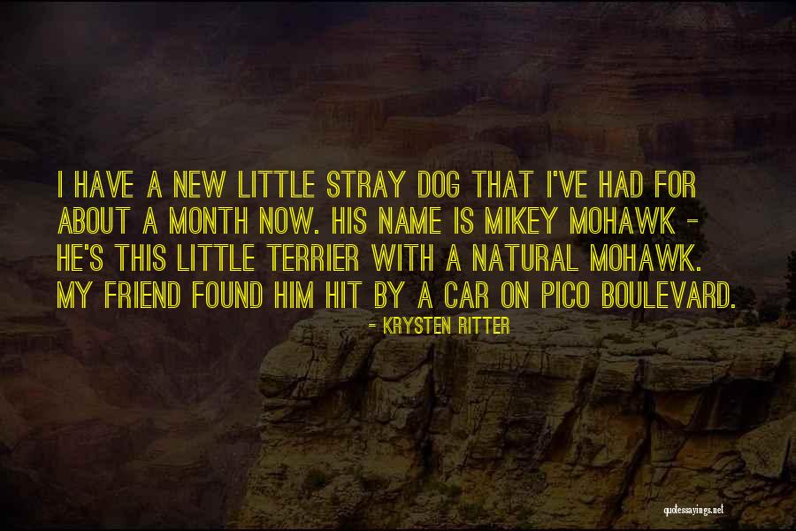 Terrier Dog Quotes By Krysten Ritter