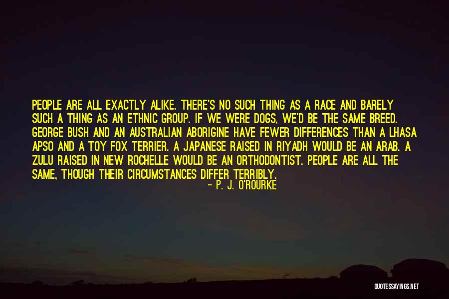 Terrier Dog Quotes By P. J. O'Rourke Terrier Dog Quotes By P. J. O'Rourke
