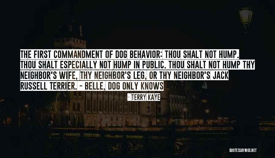 Terrier Dog Quotes By Terry Kaye Terrier Dog Quotes By Terry Kaye