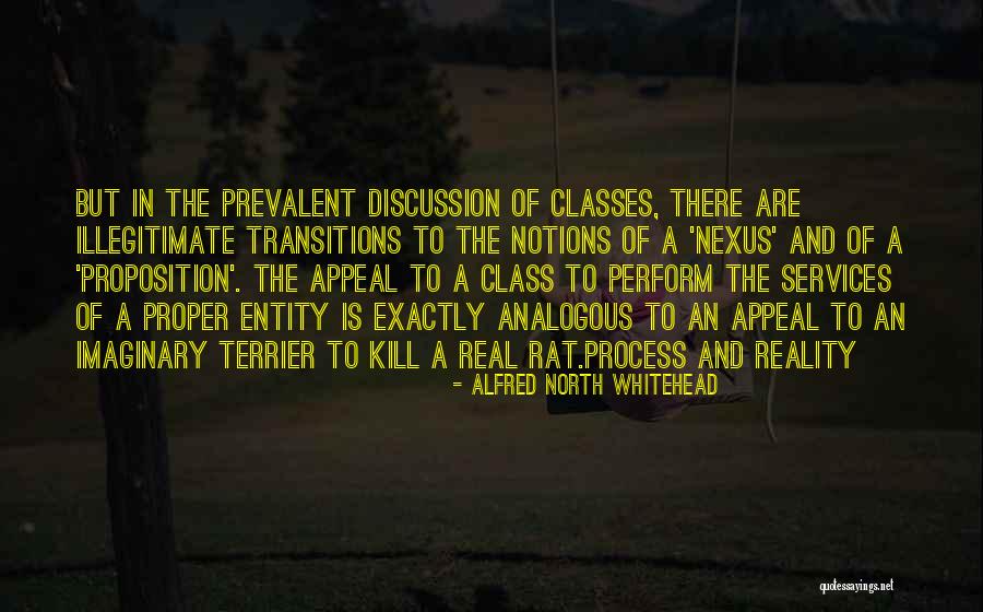 Terrier Quotes By Alfred North Whitehead Terrier Quotes By Alfred North Whitehead