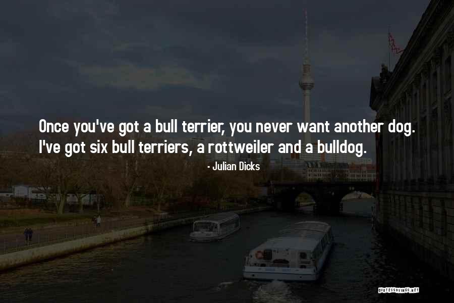 Terrier Quotes By Julian Dicks Terrier Quotes By Julian Dicks