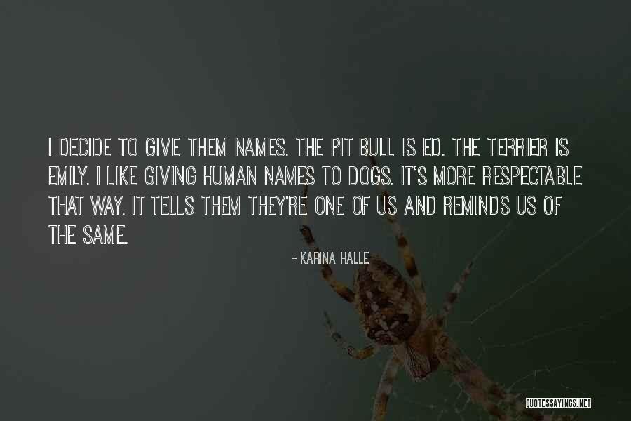 Terrier Quotes By Karina Halle Terrier Quotes By Karina Halle