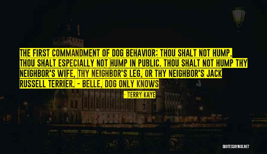 Terrier Quotes By Terry Kaye Terrier Quotes By Terry Kaye