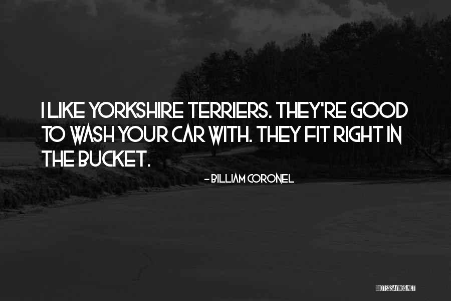 Terriers Quotes By Billiam Coronel Terriers Quotes By Billiam Coronel