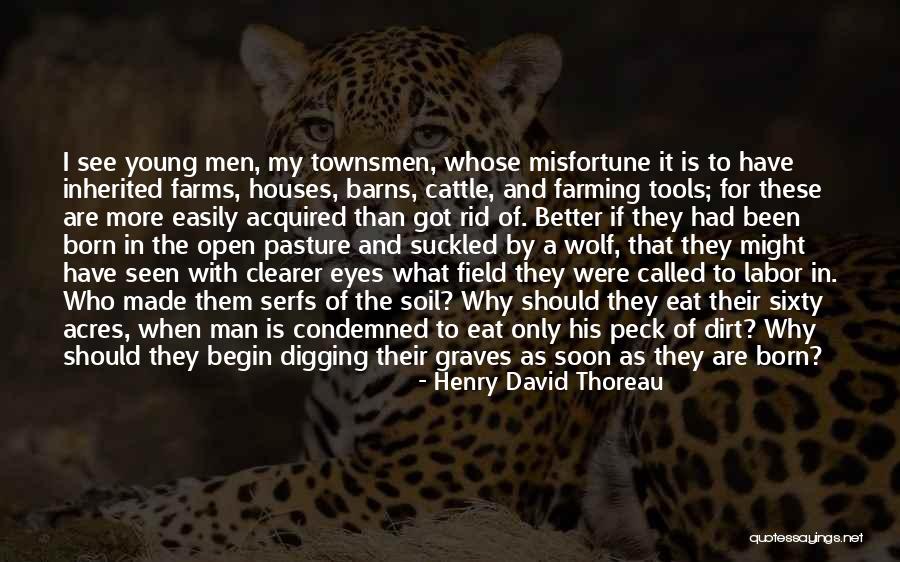 Terrifies Cat Quotes By Henry David Thoreau Terrifies Cat Quotes By Henry David Thoreau
