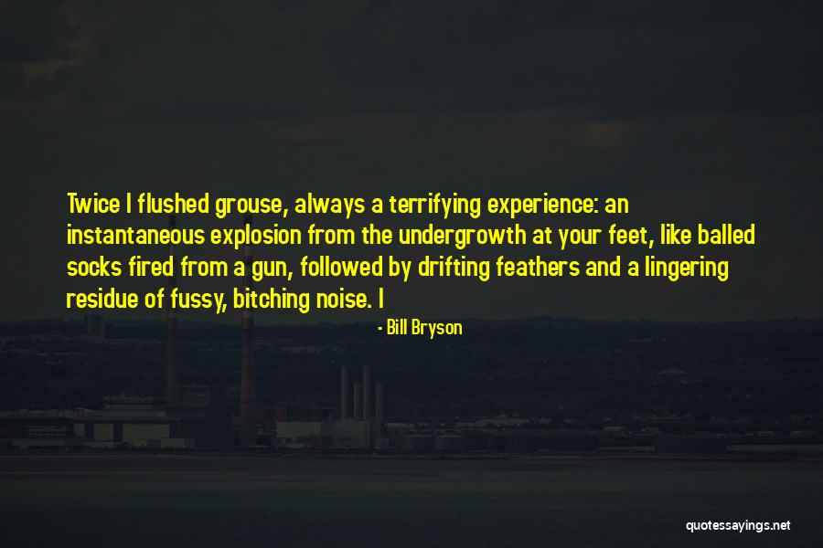 Terrifying Experience Quotes By Bill Bryson Terrifying Experience Quotes By Bill Bryson