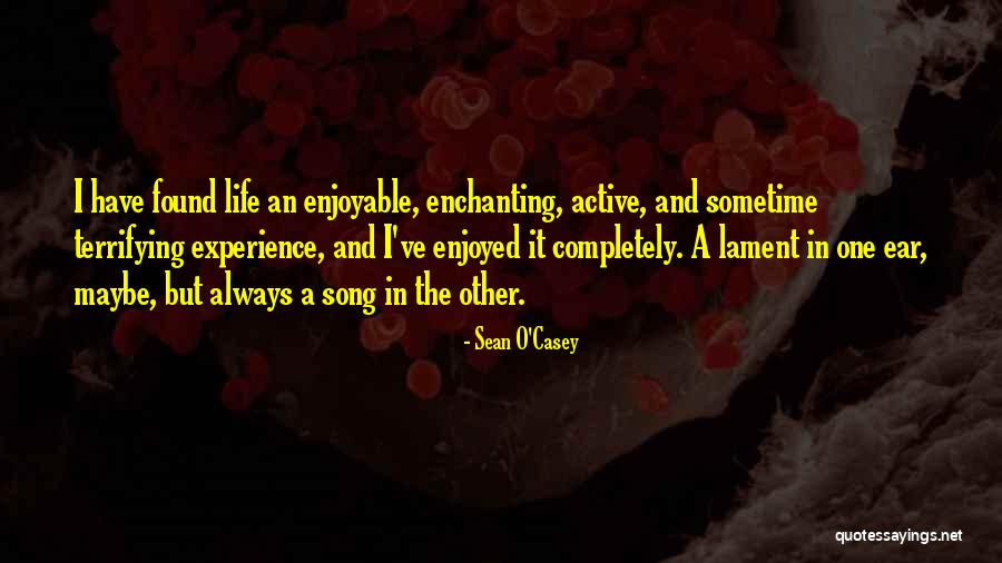 Terrifying Experience Quotes By Sean O'Casey Terrifying Experience Quotes By Sean O'Casey