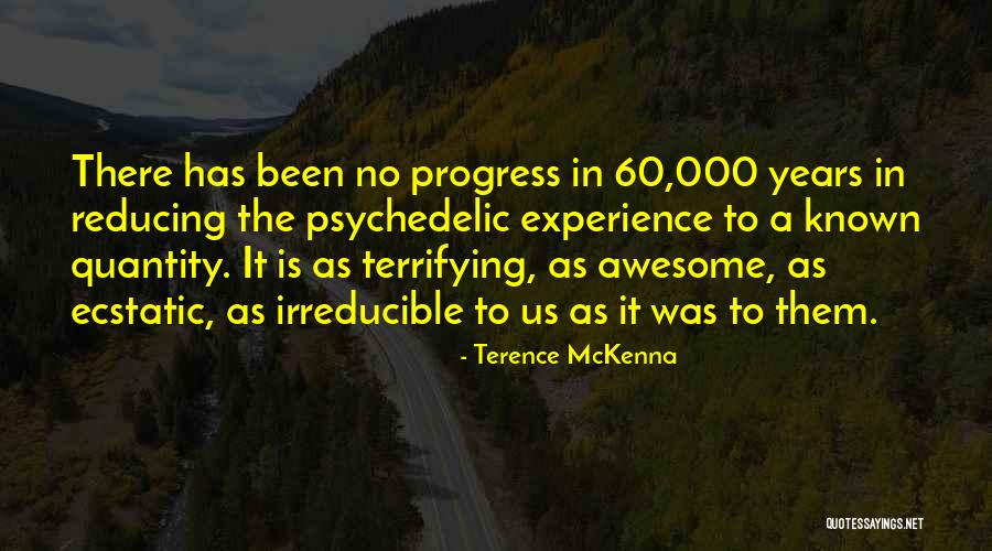 Terrifying Experience Quotes By Terence McKenna Terrifying Experience Quotes By Terence McKenna