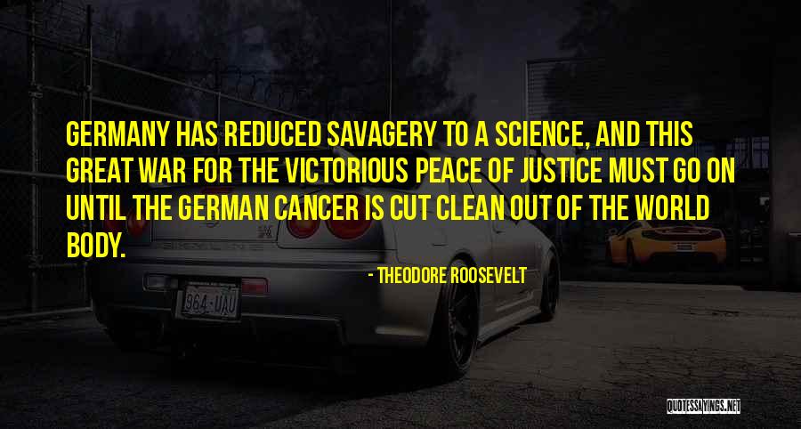 Territorializing Quotes By Theodore Roosevelt Territorializing Quotes By Theodore Roosevelt