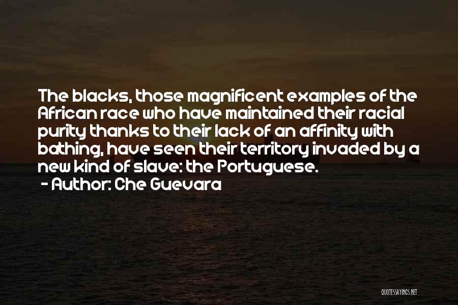Territory Invaded Quotes By Che Guevara
