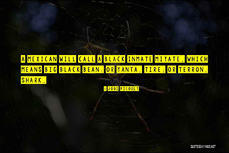 Terron Quotes By Jodi Picoult Terron Quotes By Jodi Picoult