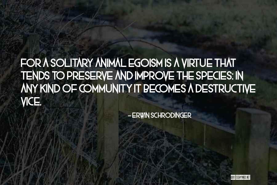 Terroriste Quebecois Quotes By Erwin Schrodinger Terroriste Quebecois Quotes By Erwin Schrodinger