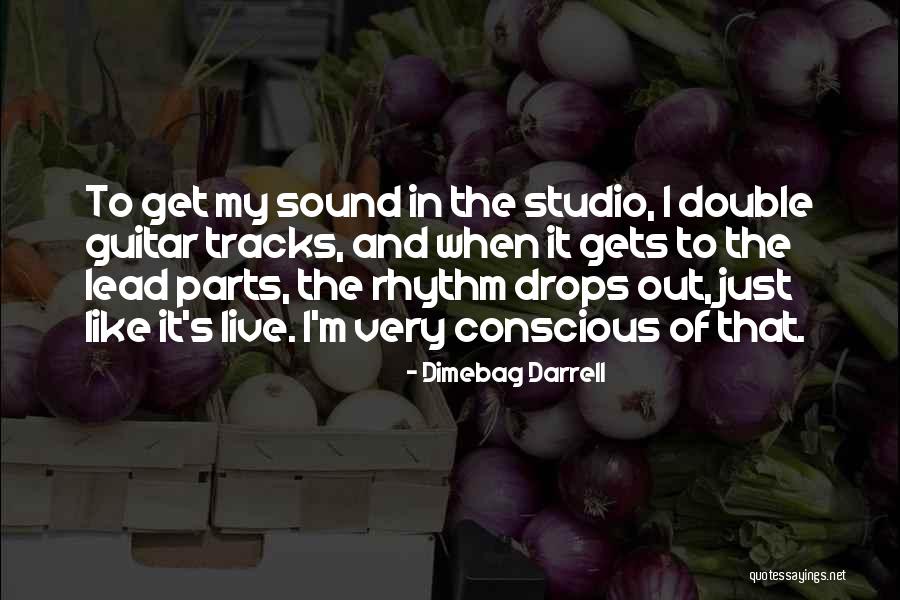 Terroriste Quotes By Dimebag Darrell Terroriste Quotes By Dimebag Darrell