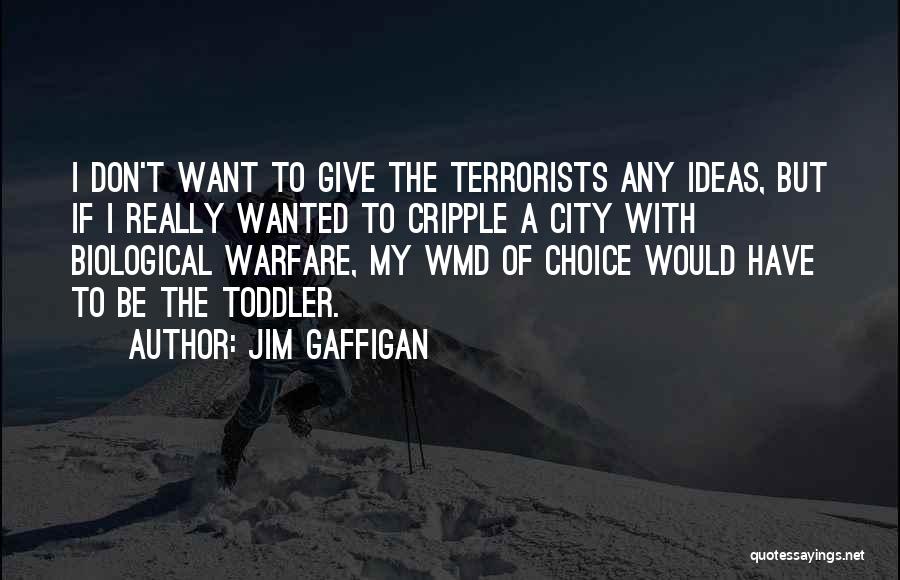 Terrorists Quotes By Jim Gaffigan