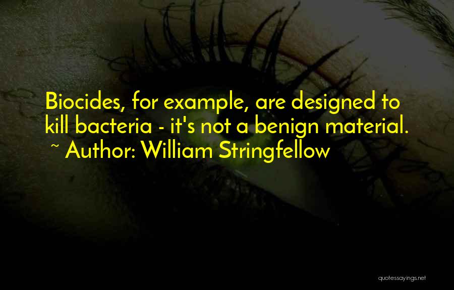 Terry Bevington Quotes By William Stringfellow