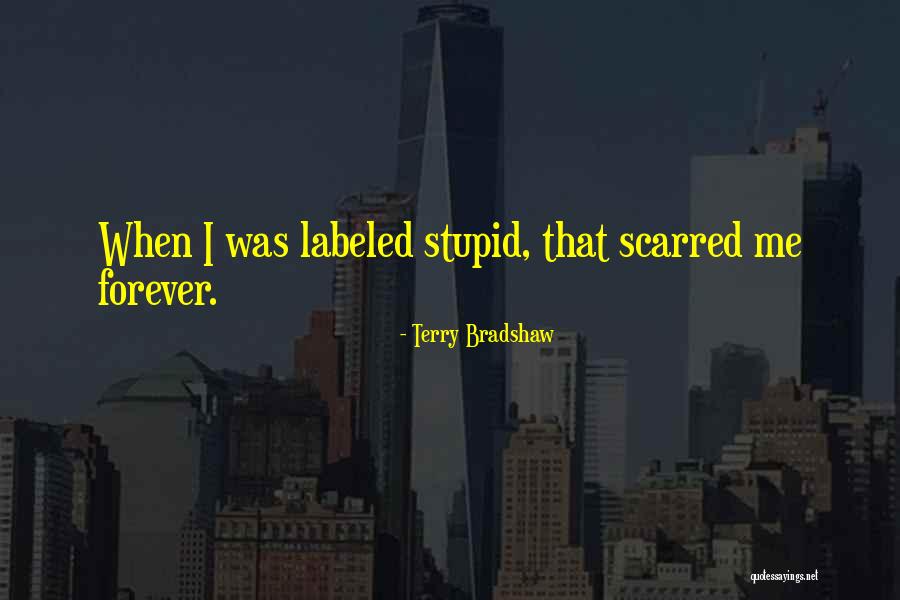 Terry Bradshaw Quotes 1425609