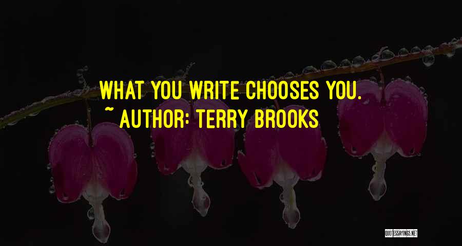 Terry Brooks Quotes 1464079