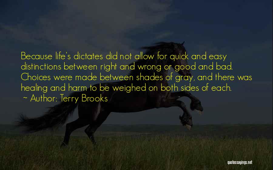 Terry Brooks Quotes 622523