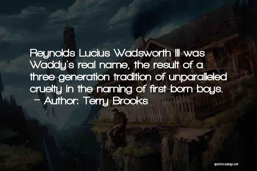 Terry Brooks Quotes 683698