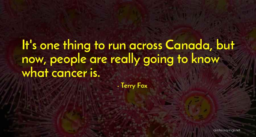 Terry Fox Quotes 1042850