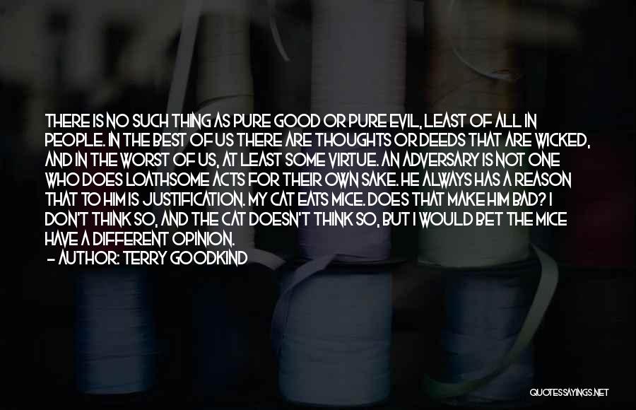 Terry Goodkind Quotes 1256604