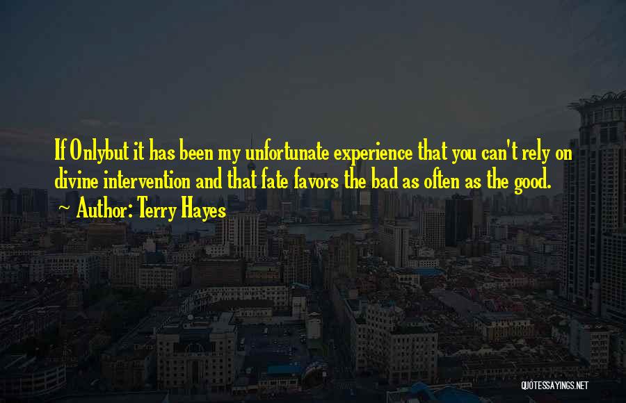 Terry Hayes Quotes 1375353