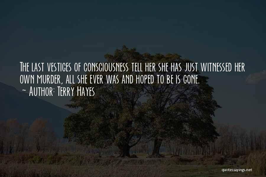 Terry Hayes Quotes 1564142