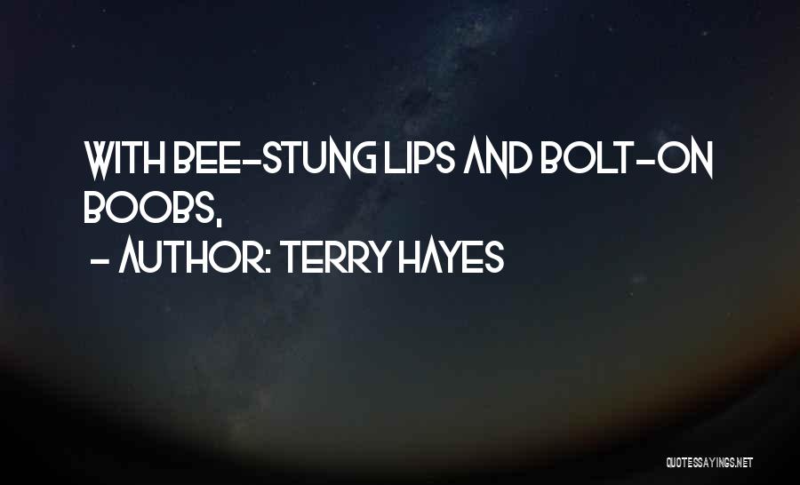 Terry Hayes Quotes 168706