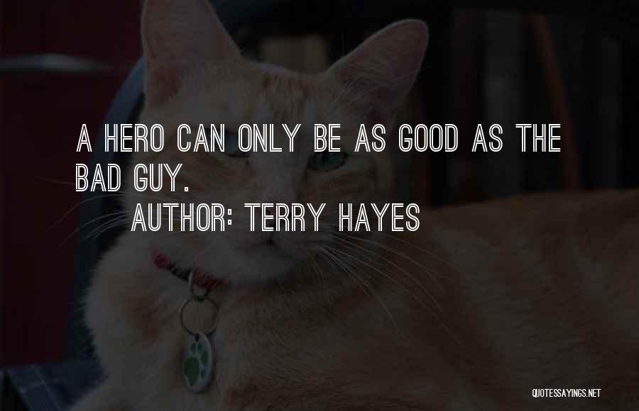 Terry Hayes Quotes 573710
