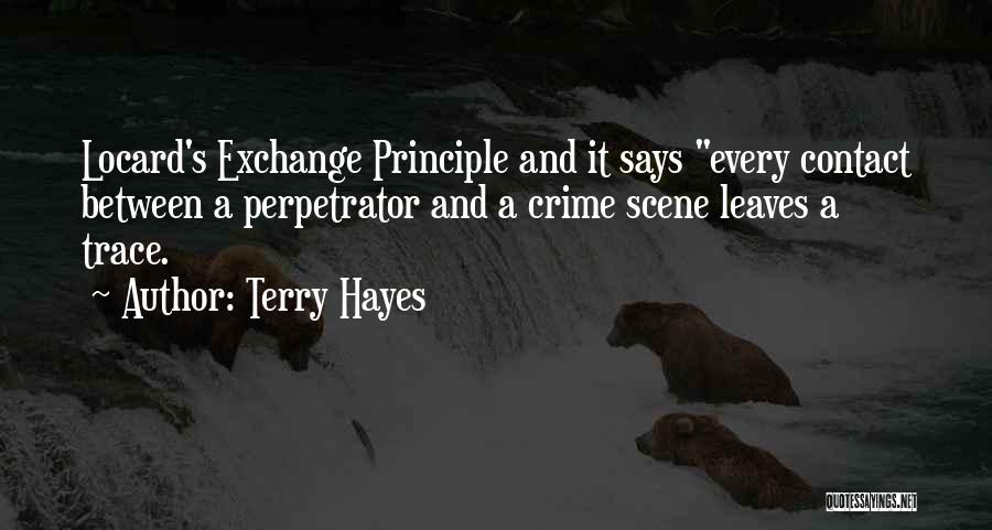 Terry Hayes Quotes 578254