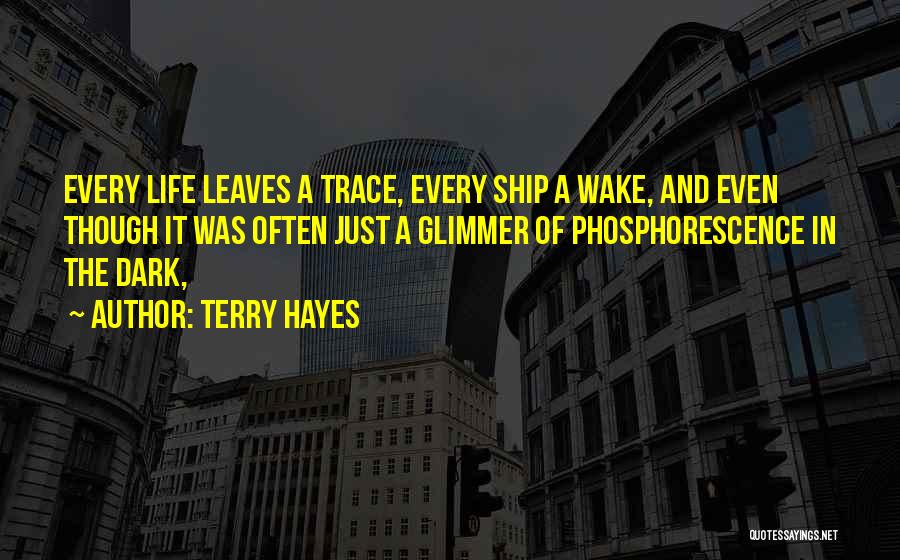 Terry Hayes Quotes 854229