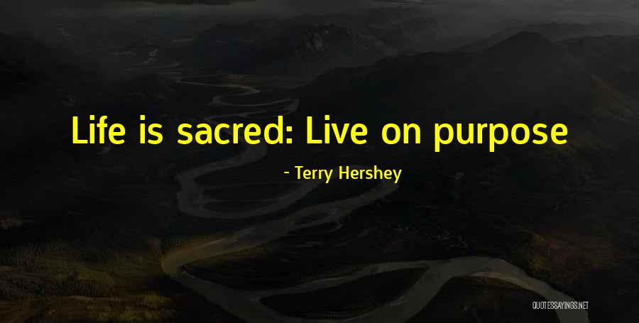 Terry Hershey Quotes 480739