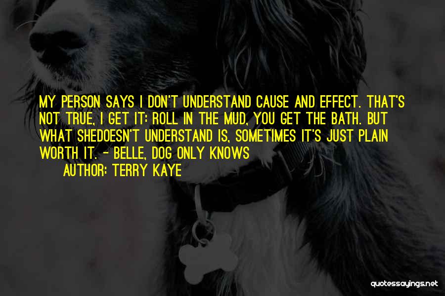 Terry Kaye Quotes 1009655