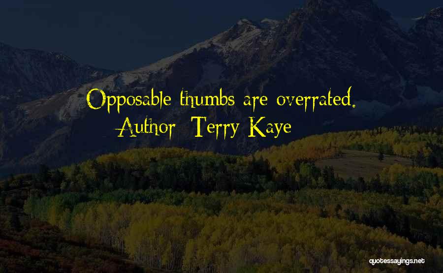 Terry Kaye Quotes 1347741