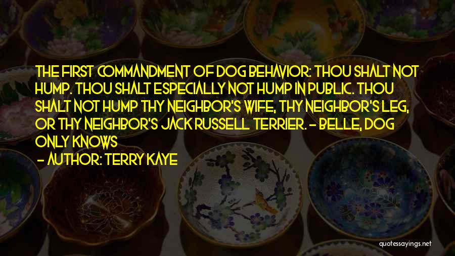 Terry Kaye Quotes 1795195