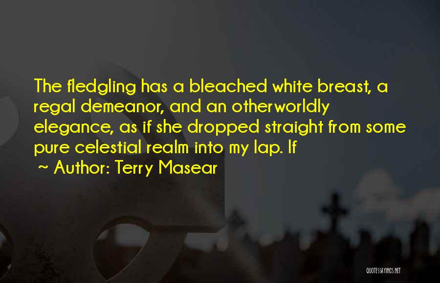 Terry Masear Quotes 561066