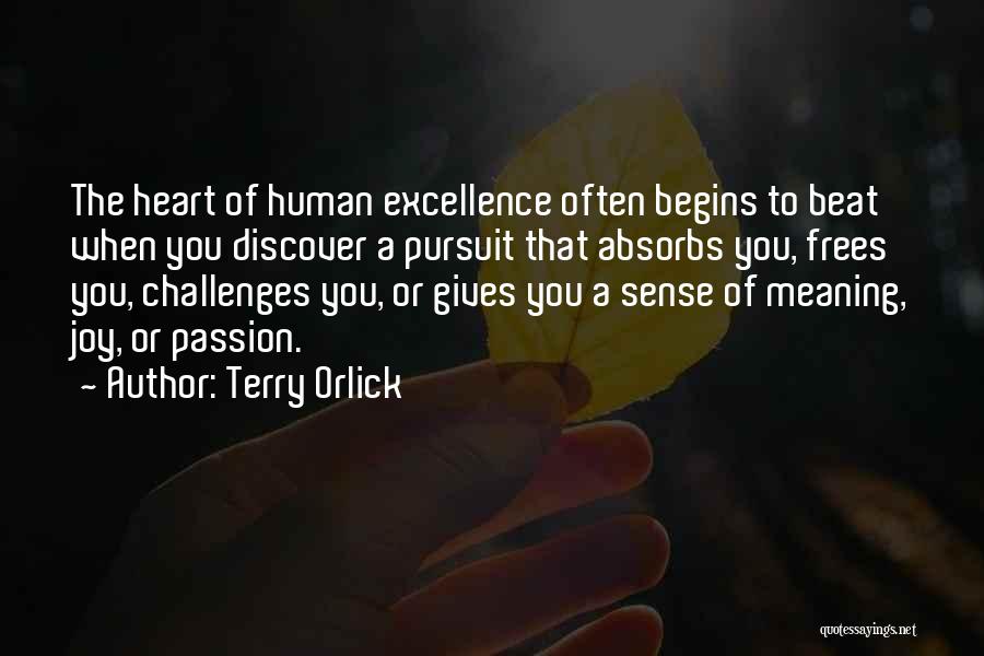 Terry Orlick Quotes 1821679