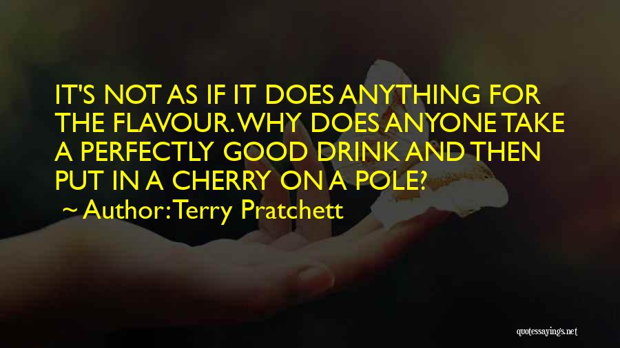 Terry Pole Quotes By Terry Pratchett