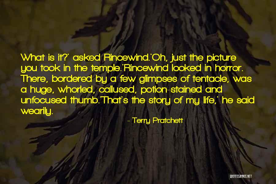 Terry Pratchett Rincewind Quotes By Terry Pratchett