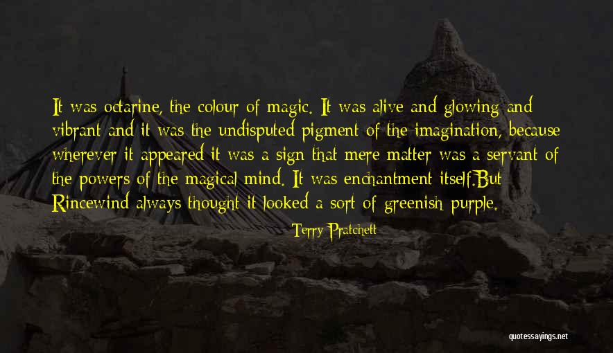 Terry Pratchett Rincewind Quotes By Terry Pratchett