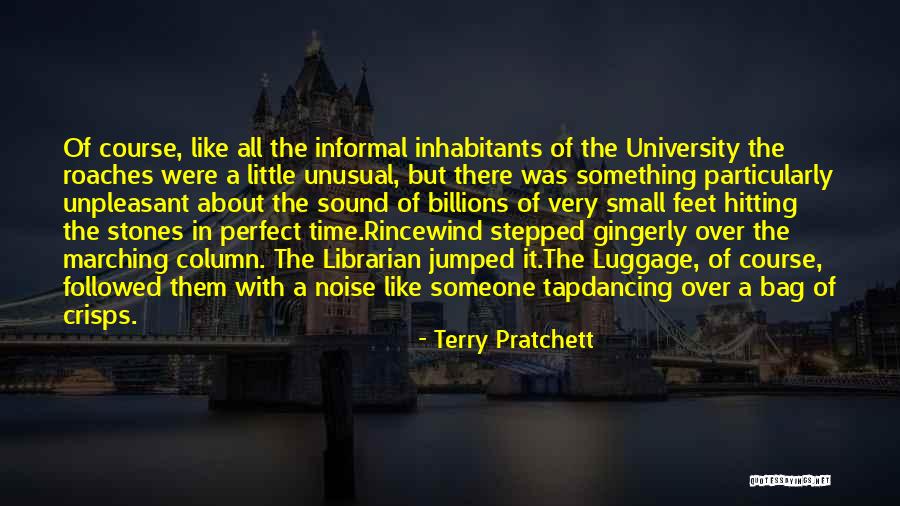 Terry Pratchett Rincewind Quotes By Terry Pratchett