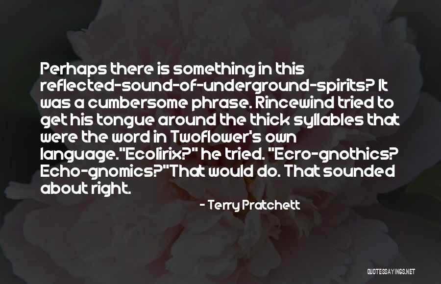 Terry Pratchett Rincewind Quotes By Terry Pratchett