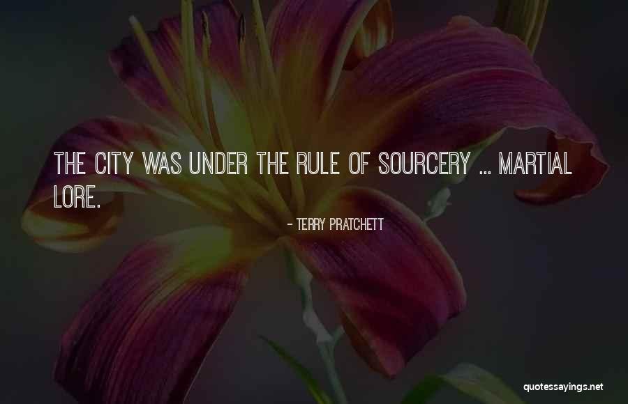 Terry Pratchett Sourcery Quotes By Terry Pratchett