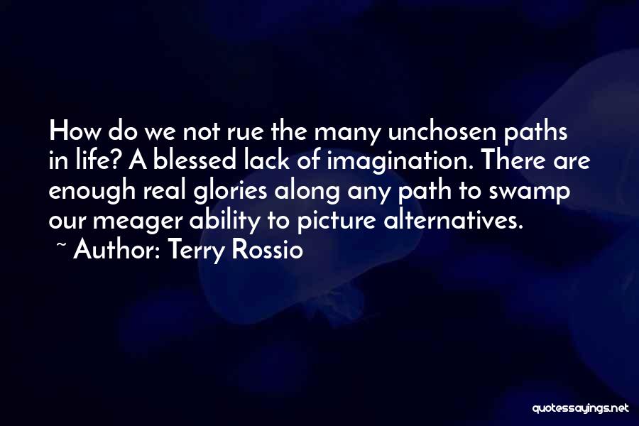 Terry Rossio Quotes 1296596